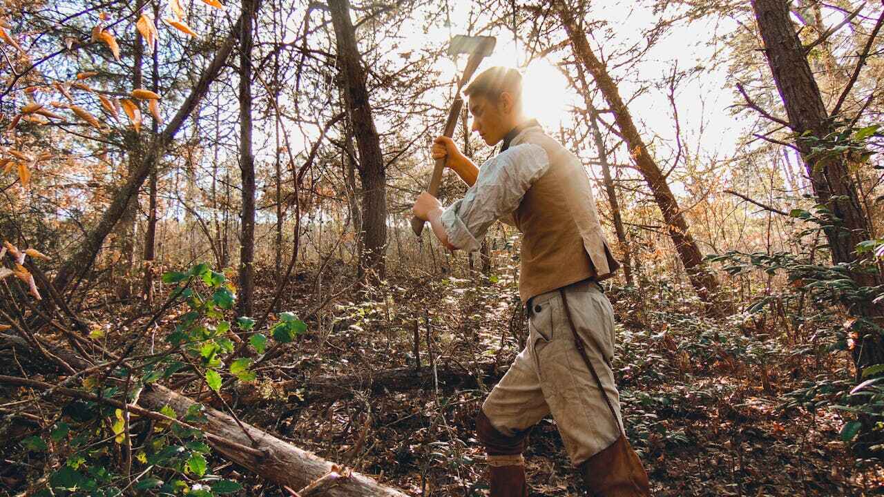 Best Tree Branch Trimming  in Hillsdale, MI